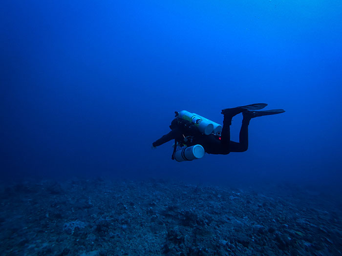 Scuba diver exploring underwater scene linked to strange jobs