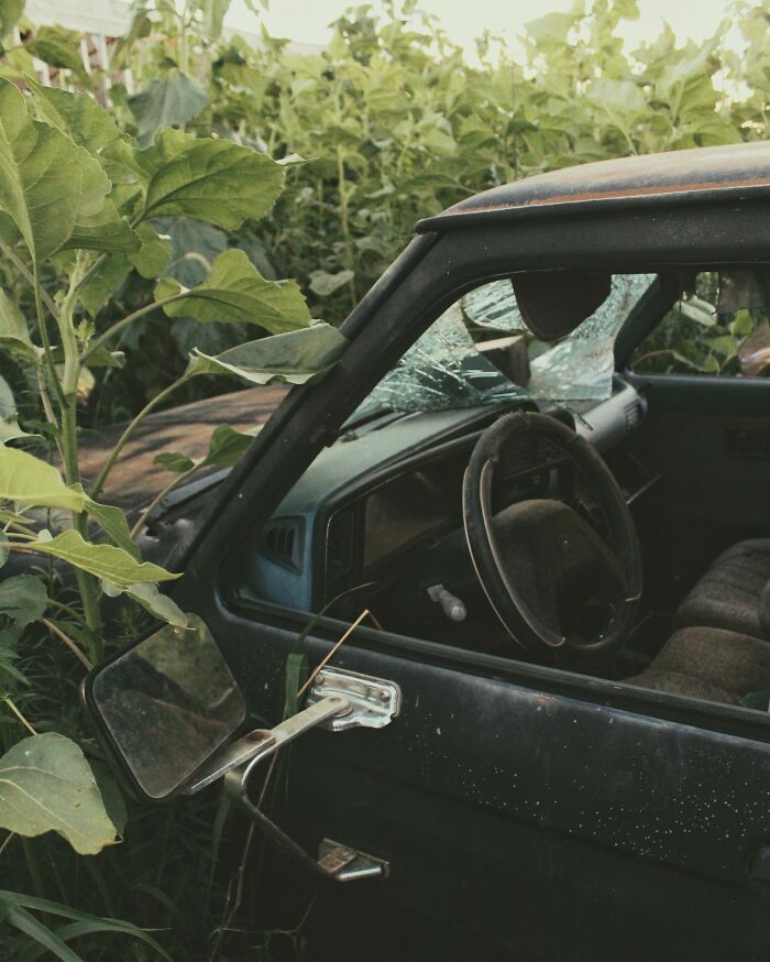 An abandoned car, overgrown with plants and a broken windshield, symbolizing hidden true selves and untold stories.