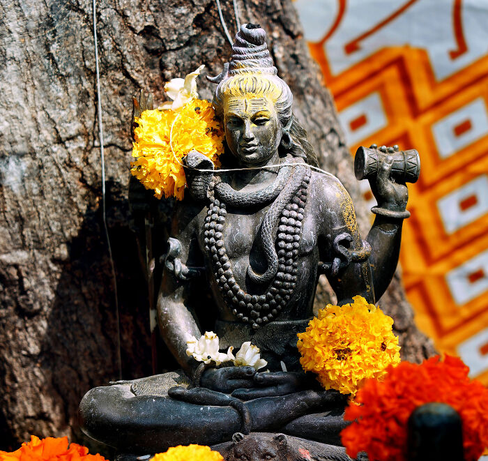 A statue of Shiva, adorned with yellow flowers, representing the devotion in the ritual of the man standing for over 5 years. A statue of Shiva, adorned with yellow flowers, representing the devotion in the ritual of the man standing for over 5 years.
