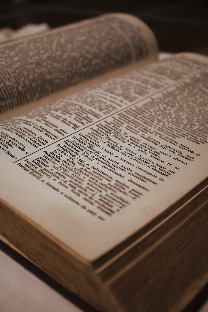 An open dictionary with faded pages, revealing many surprising facts and words.