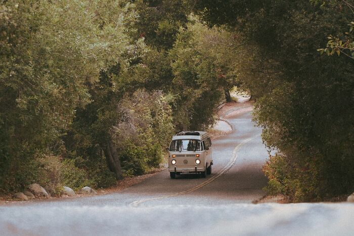 A vintage van driving on a winding road through a forest, hinting at wild coincidences on a journey.