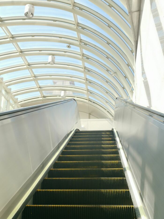 An upward-moving escalator under a glass ceiling, an interesting fact about modern architecture.