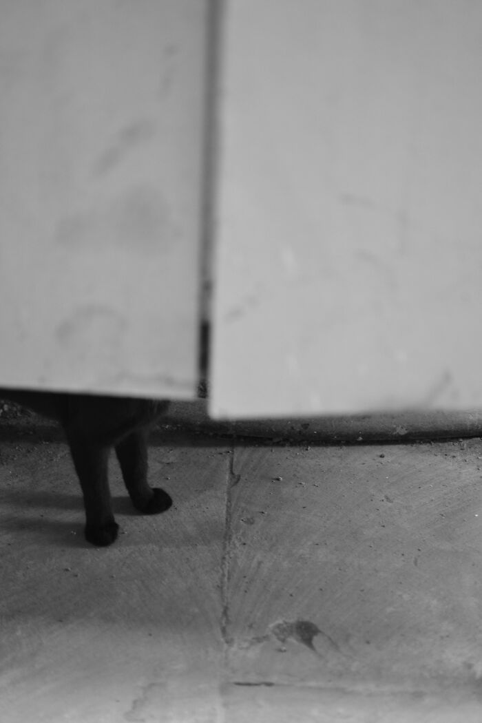 49 Photos That Captured Chilling Things Only Seen After The Picture Was Taken