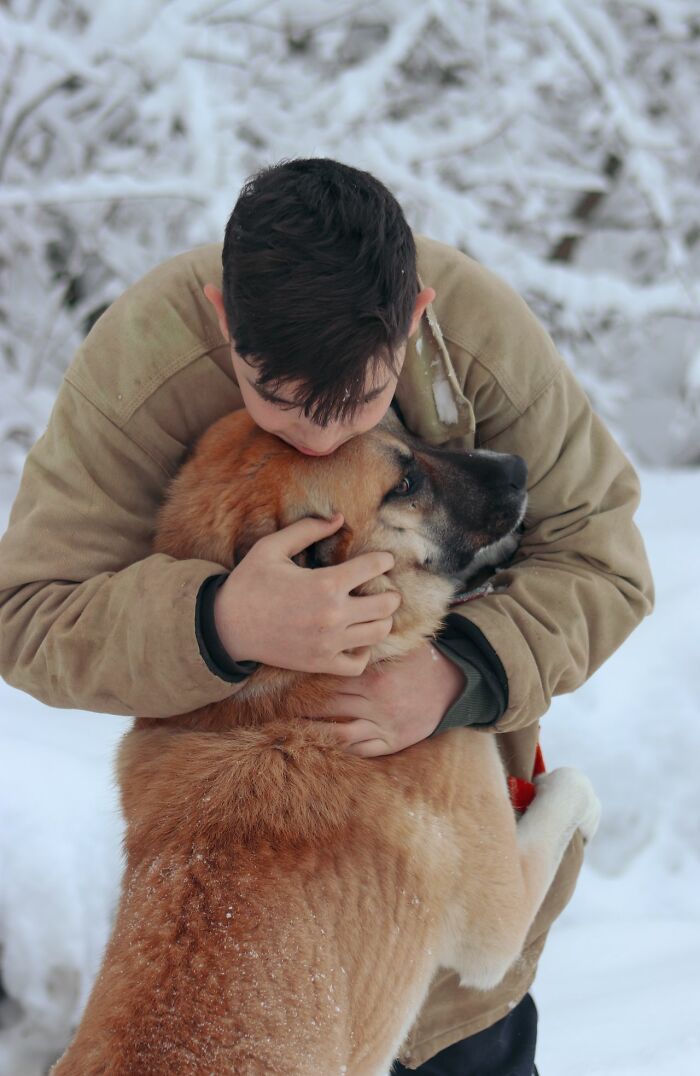 A person hugging a dog in a snowy environment, highlighting the emotional pain of separation or loss.