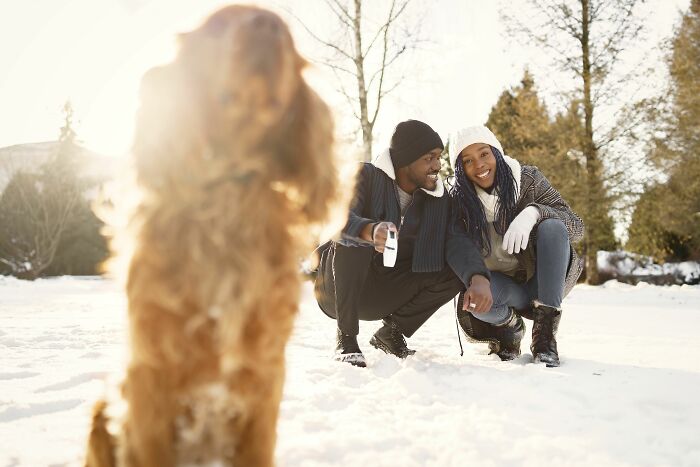 A couple kneels in the snow, looking at their dog in the foreground, showing human habits that confuse dogs.