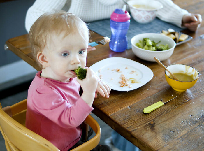 Expert Issues Warning After Mom Shows Off Her 1-Year-Old Toddler's Lunch