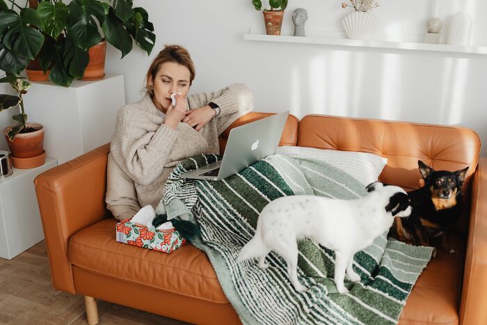 A woman blowing her nose on a couch with two dogs nearby, depicting human habits that confuse dogs.