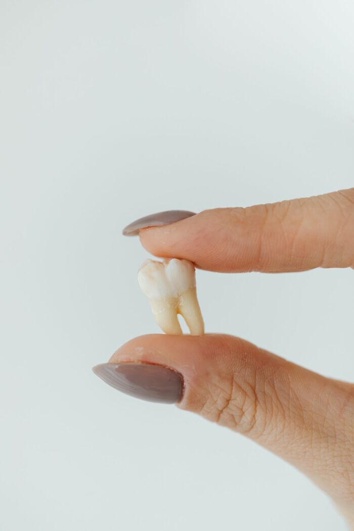 A hand holding a single extracted tooth, highlighting the crazy facts.