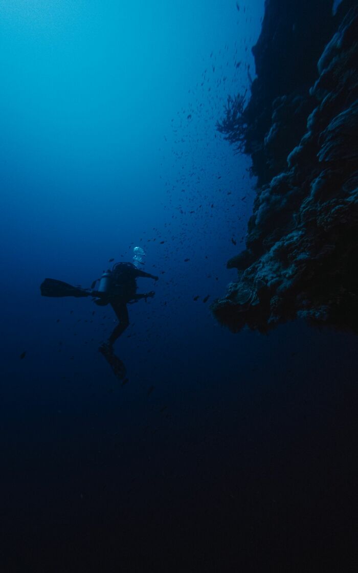 Scuba diver exploring coral reef wall with fish in deep blue diving story