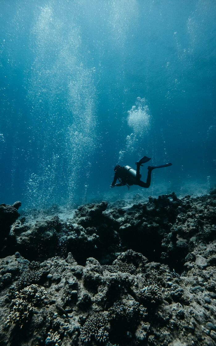 Scuba diver exploring dark underwater coral reef