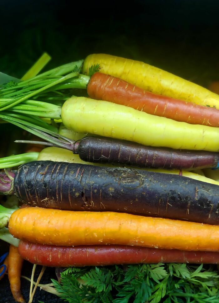 Colorful carrots in a market stall, a cool and surprising fact about produce variety.