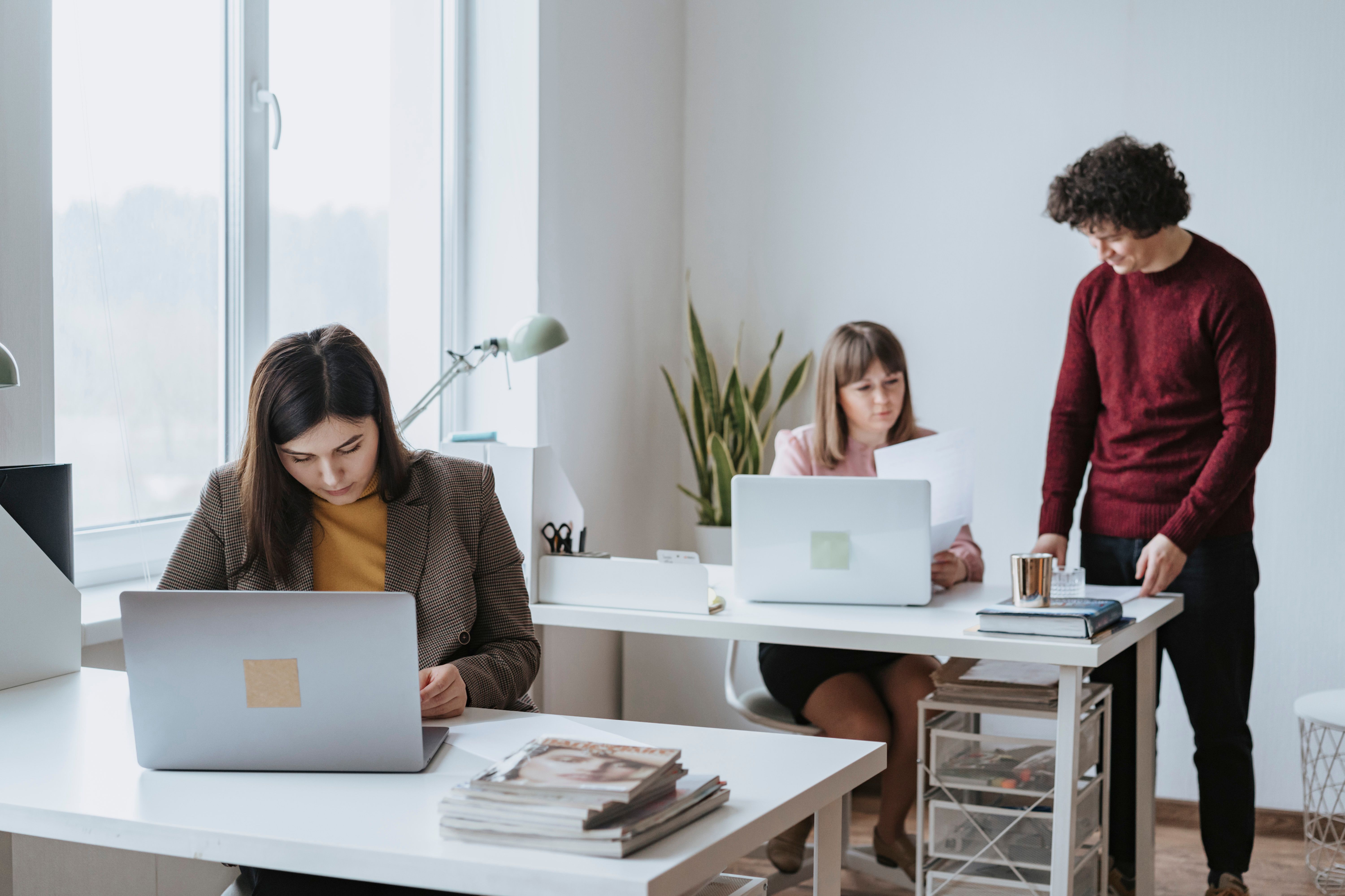 Three coworkers diligently working at their desks, emphasizing a productive office environment before ableist Karen harassment.