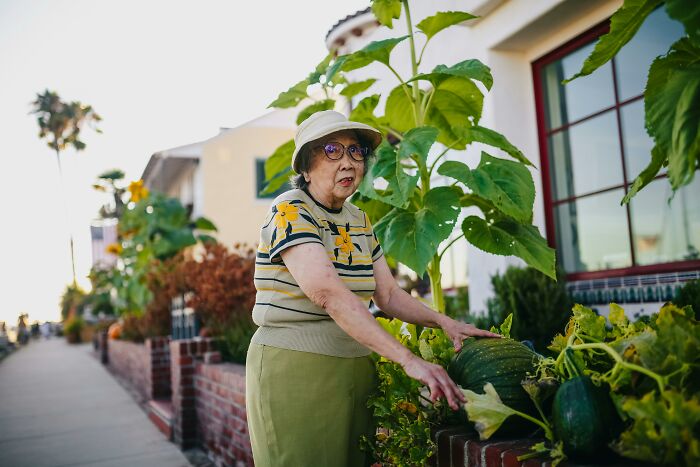 Elderly woman gardening outdoors with large plants near house in neighborhood