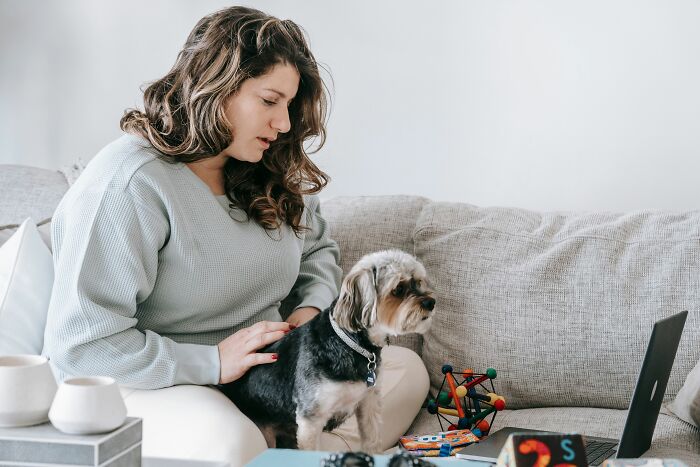 A woman gently petting her small dog on a couch, illustrating human habits that can confuse dogs.
