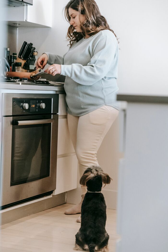 A small dog watches a woman cooking in the kitchen, observing human habits that confuse dogs.