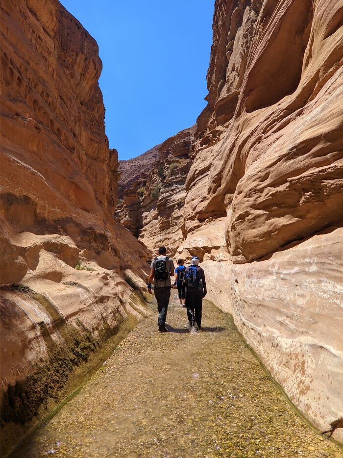 Hikers walking through narrow canyon with rocky walls and shallow water under clear sky