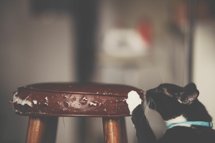 Scratching Furniture