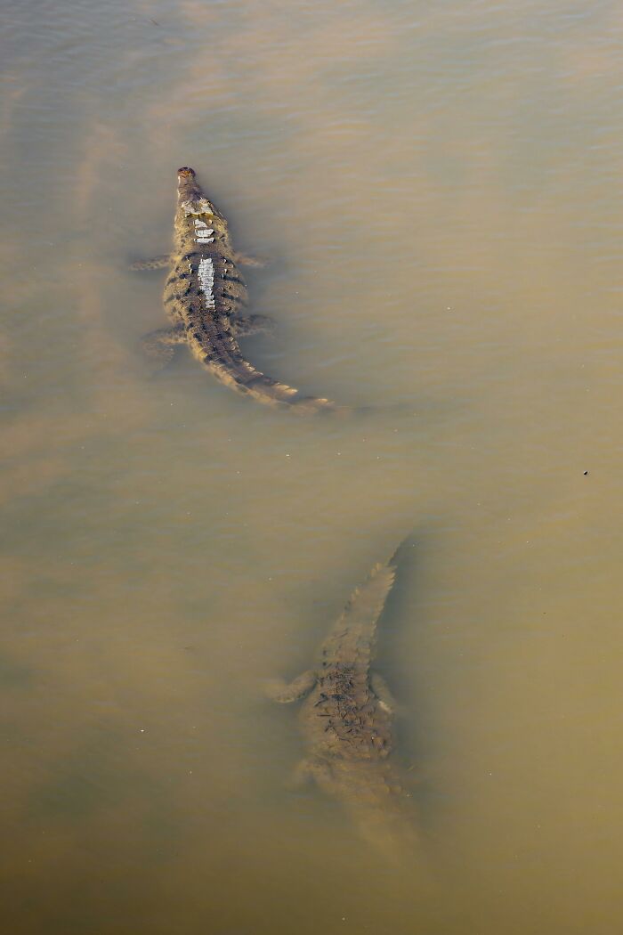 49 Photos That Captured Chilling Things Only Seen After The Picture Was Taken