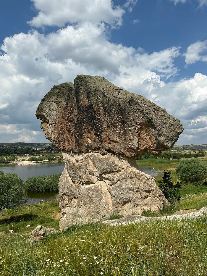 Large naturally shaped rock formation resembling a fish head in grassy landscape