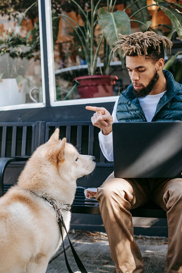 A man pointing at his dog while working on a laptop, a human habit that confuses dogs.