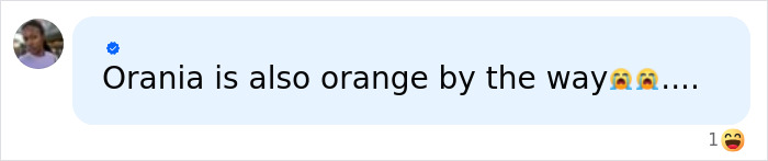 The Dutch Team's Iconic Orange Kit Has Nothing To Do With The Flag And Everything To Do With History