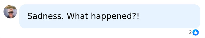 Comment showing sadness about Disney princesses theme park events Comment showing sadness about Disney princesses theme park events