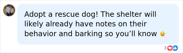 Advice to adopt a rescue dog with known quiet behavior