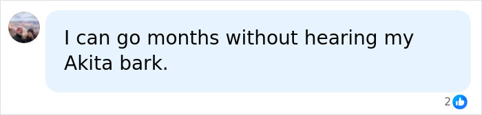 Comment about Akita being a quiet dog breed