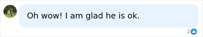 A comment expressing relief that Ryan Reynolds is okay after being hit by a car.