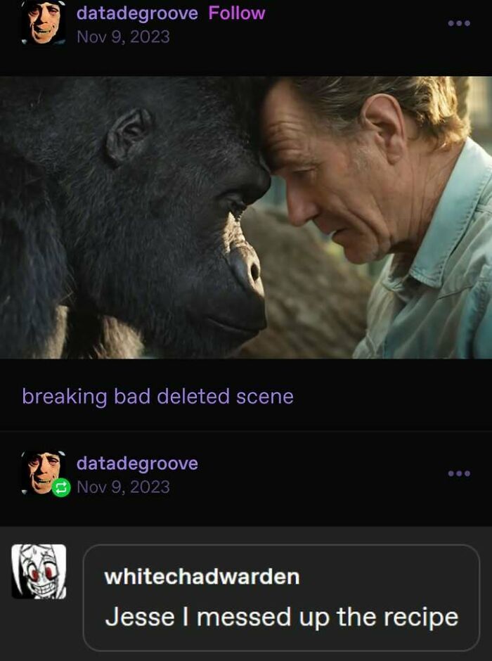 A meme combining a gorilla and Bryan Cranston in a Breaking Bad deleted scene, with the text Jesse I messed up the recipe, a fever dream meme.