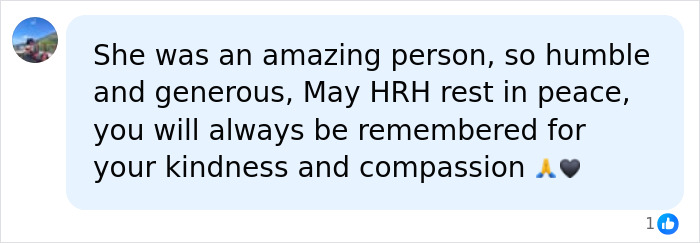 Comment praising Thai princess's kindness and compassion and wishing her peace Comment praising Thai princess's kindness and compassion and wishing her peace