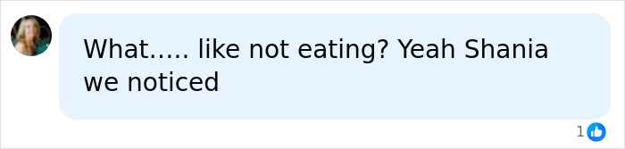 Screenshot of a comment questioning Shania Twain's transformation and beauty standards. Screenshot of a comment questioning Shania Twain's transformation and beauty standards.