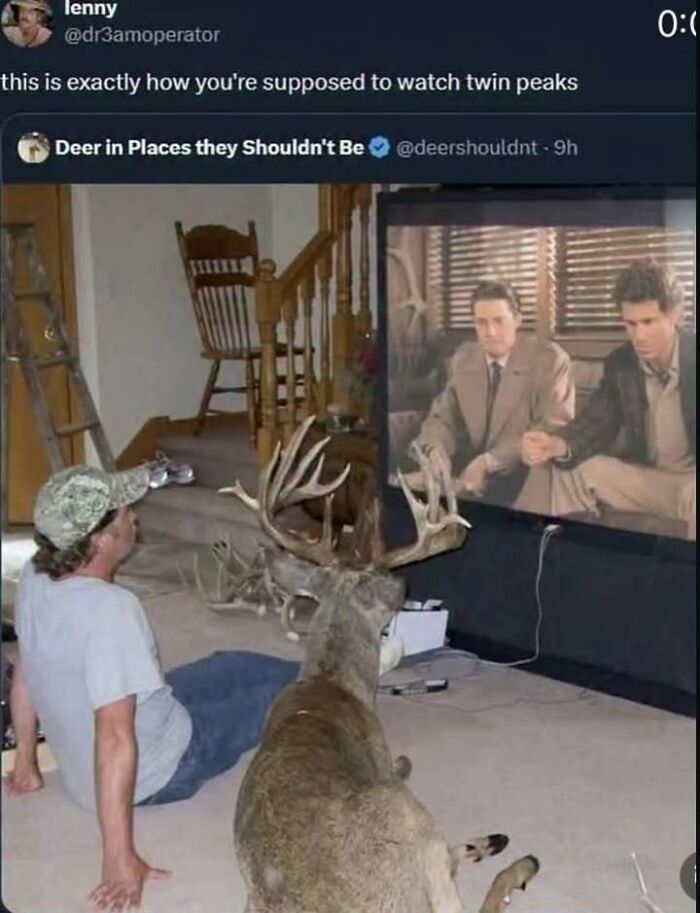 A man and a taxidermied deer watching Twin Peaks on a TV, creating a fever dream meme.