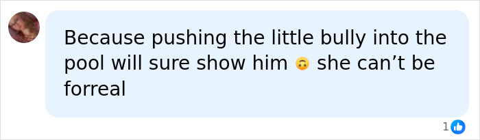 Comment discussing pushing bully into pool in Karen incident