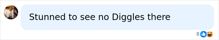 Comment expressing surprise that Diggles surname not listed for royal connections