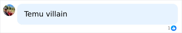 A comment calling the guy Trump hired to renovate the Reflecting Pool a Temu villain.