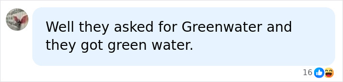 People losing it over Trump's reflecting pool renovator; comment about green water.