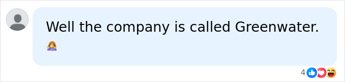 A comment mentioning the company name Greenwater in relation to the guy Trump hired to renovate the Reflecting Pool.