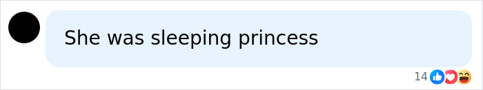 Comment referring to Thai princess as sleeping princess Comment referring to Thai princess as sleeping princess