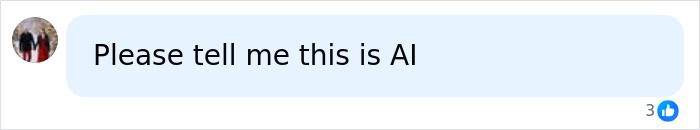 A chat bubble with text that reads: Please tell me this is AI with a thumbs up emoji.
