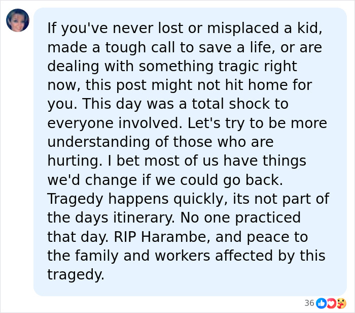 A Decade Later, Harambe Remains At The Center Of One Of The Most Controversial Zoo Incidents Ever A Decade Later, Harambe Remains At The Center Of One Of The Most Controversial Zoo Incidents Ever