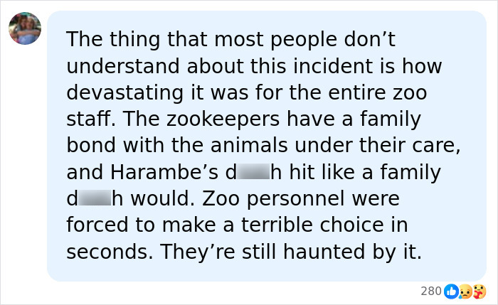 A Decade Later, Harambe Remains At The Center Of One Of The Most Controversial Zoo Incidents Ever A Decade Later, Harambe Remains At The Center Of One Of The Most Controversial Zoo Incidents Ever