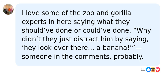 A Decade Later, Harambe Remains At The Center Of One Of The Most Controversial Zoo Incidents Ever A Decade Later, Harambe Remains At The Center Of One Of The Most Controversial Zoo Incidents Ever