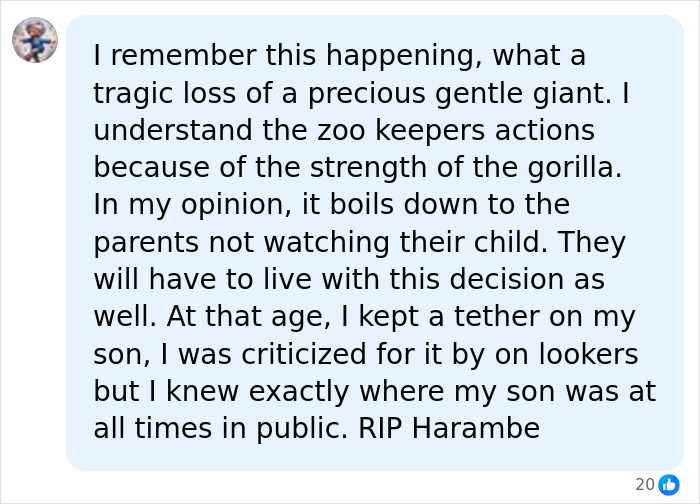 A Decade Later, Harambe Remains At The Center Of One Of The Most Controversial Zoo Incidents Ever A Decade Later, Harambe Remains At The Center Of One Of The Most Controversial Zoo Incidents Ever