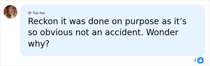 Comment suggesting the rope jumping incident was intentional, not accidental Comment suggesting the rope jumping incident was intentional, not accidental