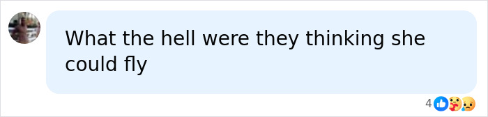 Comment questioning the logic behind the rope jumper's actions Comment questioning the logic behind the rope jumper's actions