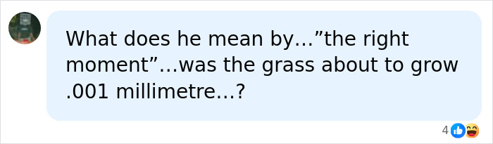 Comment questioning the meaning of the right moment in photo capture Comment questioning the meaning of the right moment in photo capture