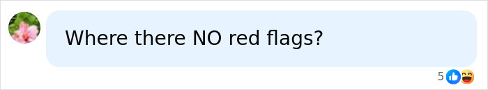 A social media comment questioning the absence of red flags concerning the mom and disturbing details.