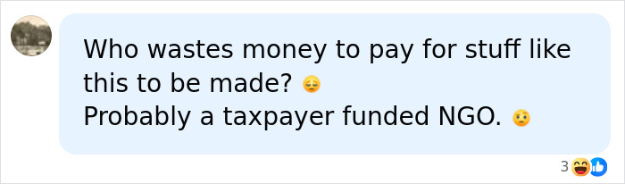 Social media comment questioning funding for giant inflatable
