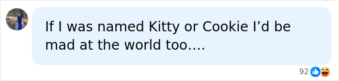 Social media comment about Texas sisters Cookie and Kitty after the fatal attack on young mom of 5.